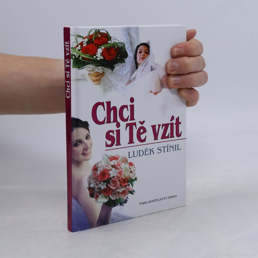 Luděk Stínil Chci si tě vzít