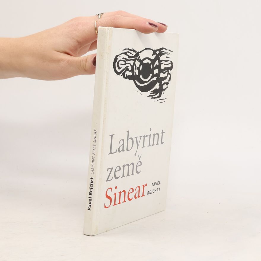 Pavel Rejchrt Labyrint země Sinear