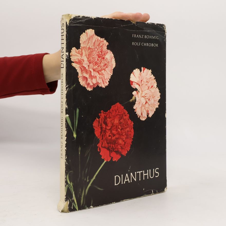 Rolf Chrobok Dianthus