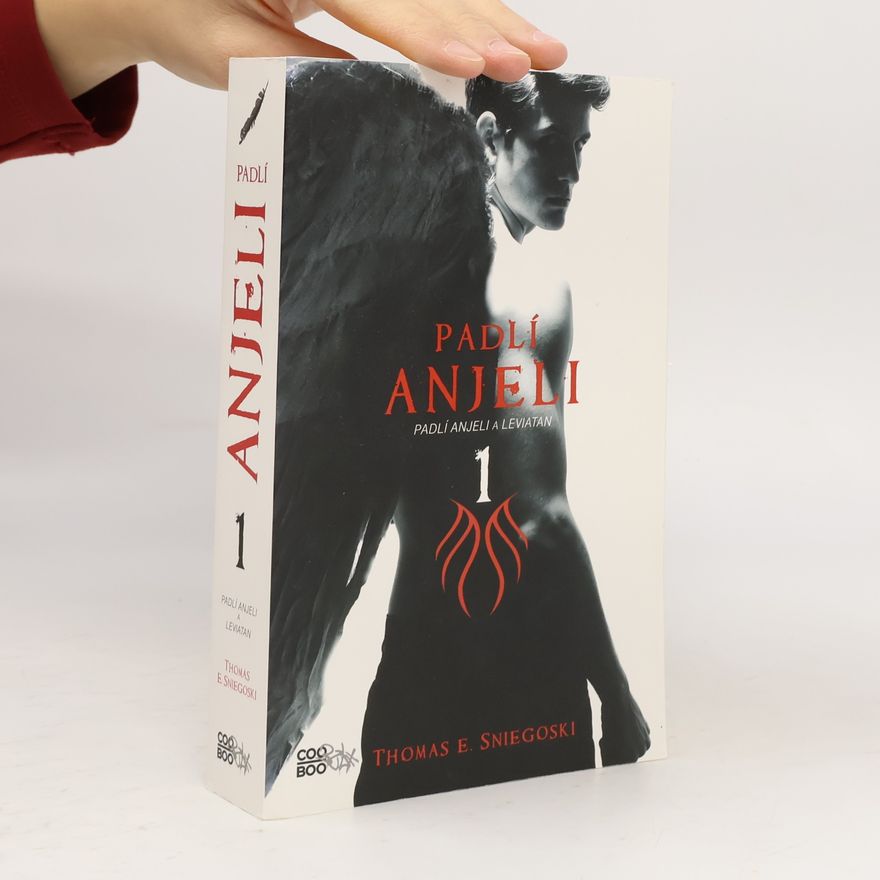 Thomas E. Sniegoski Padlí anjeli 1