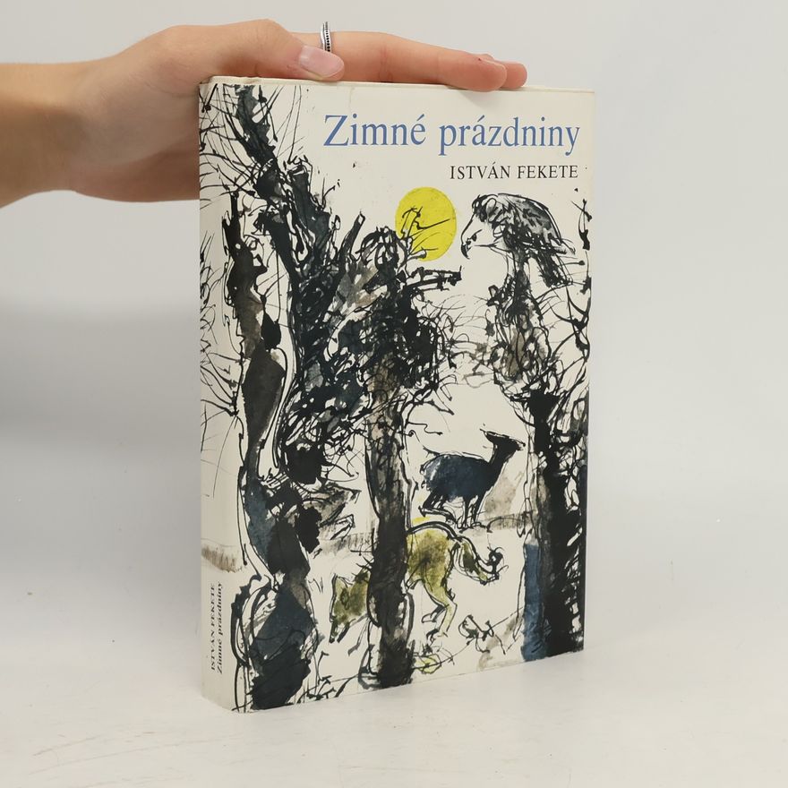 István Fekete Zimné prázdniny