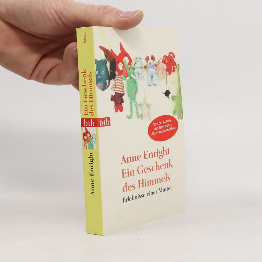 Anne Enright Ein Geschenk des Himmels