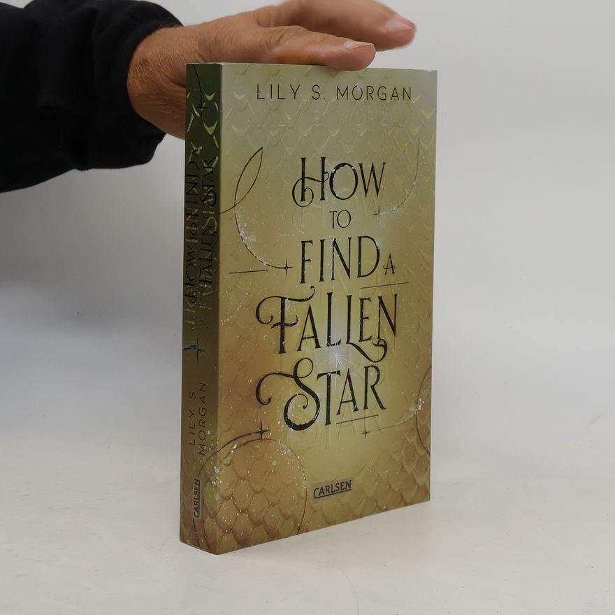 Lilly S. Morgan How To Find A Fallen Star / New York Magics Bd.2