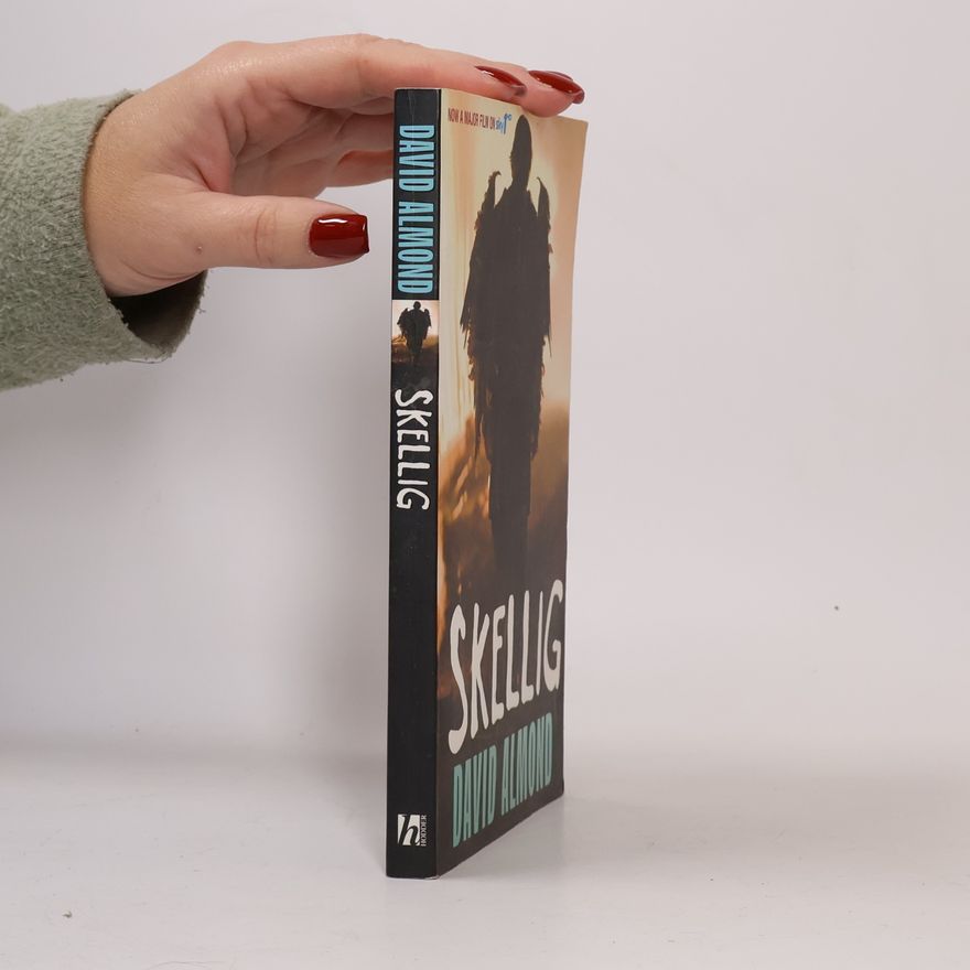 David Almond Skellig