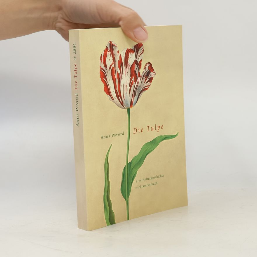 Pavord Anna Die Tulpe