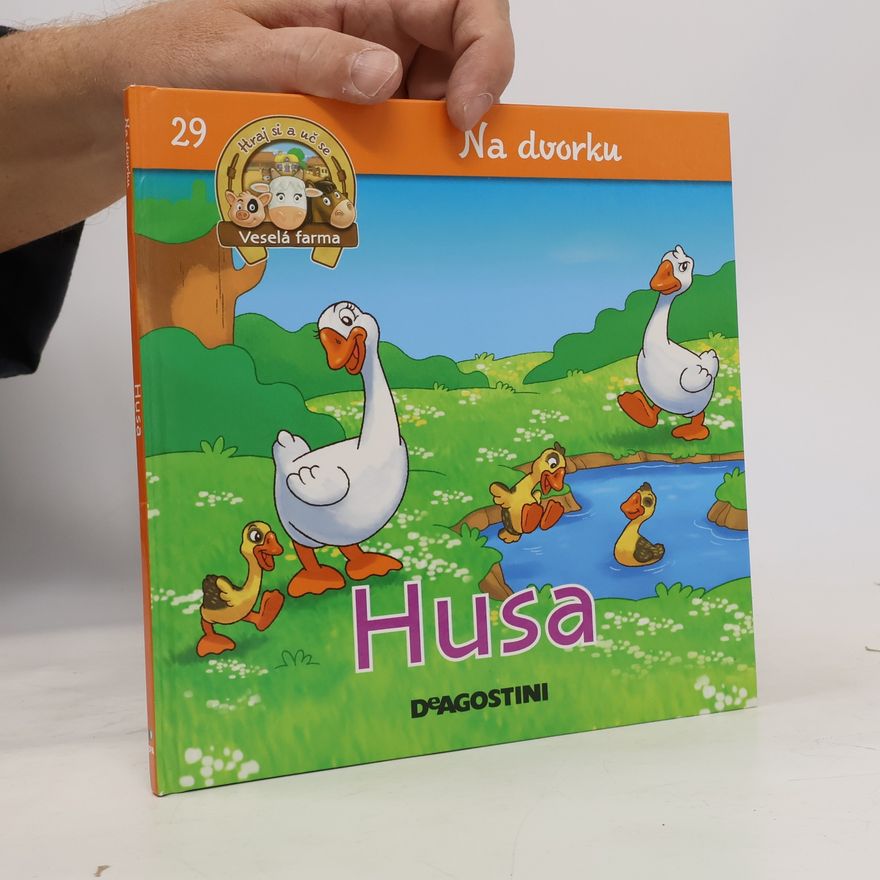 Autorenkollektiv Na dvorku 29. Husa