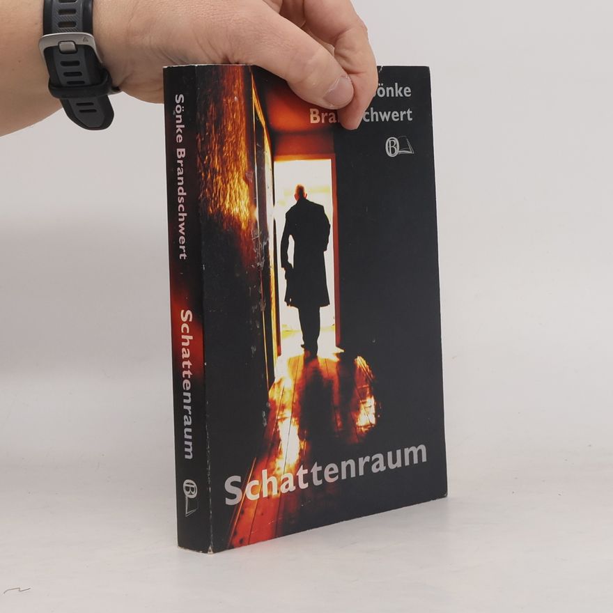 Sönke Brandschwert Schattenraum