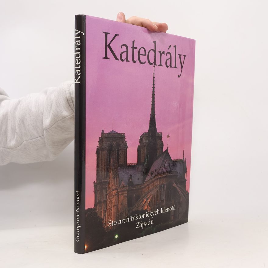 Josef Matějů Katedrály. Sto architektonických klenotů Západu