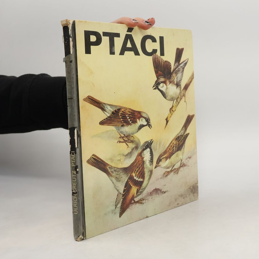 Ulrich Creutz Ptáci