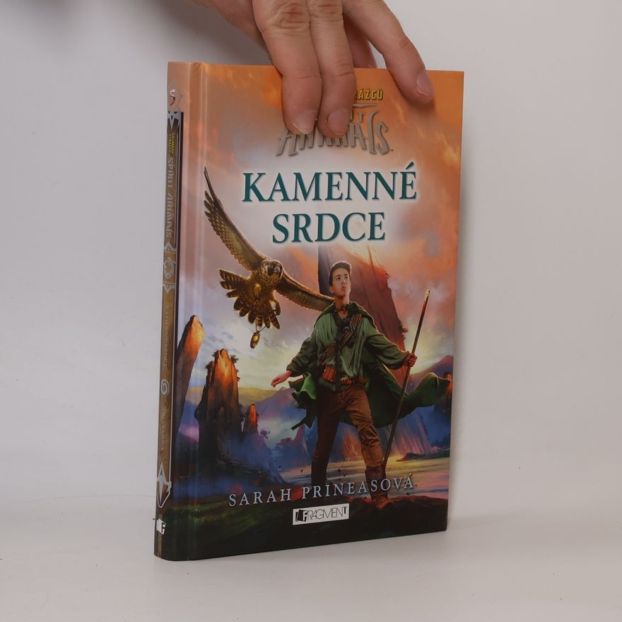 Sarah Prineas Kamenné srdce
