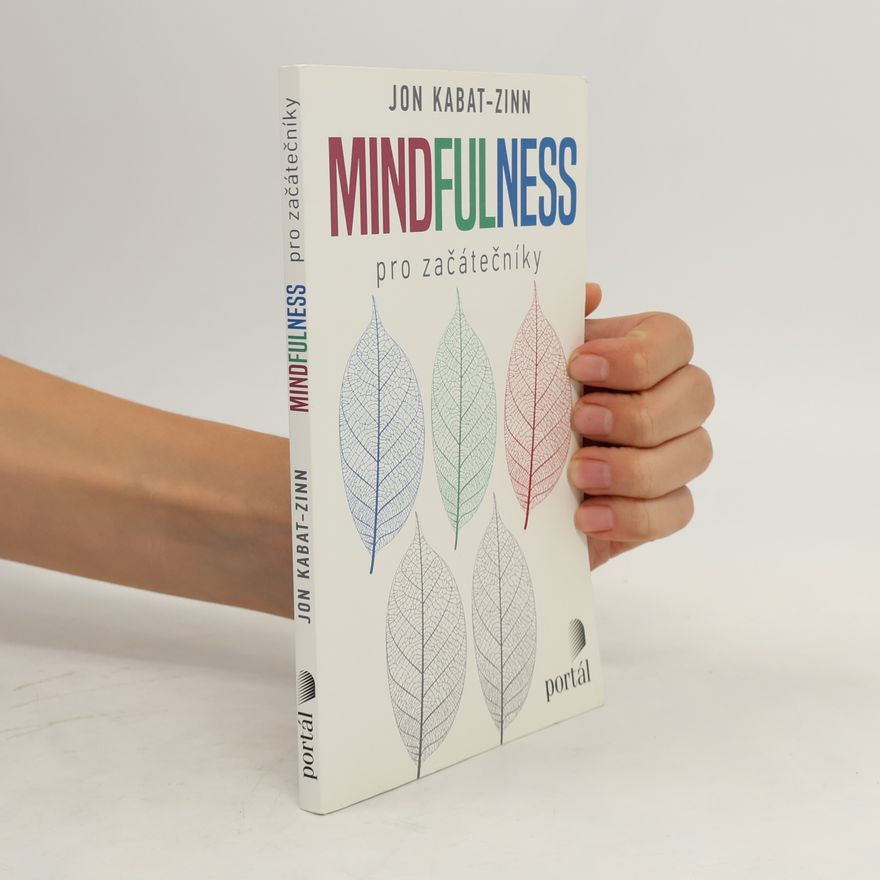 Ondřej Fafejta Mindfulness pro začátečníky