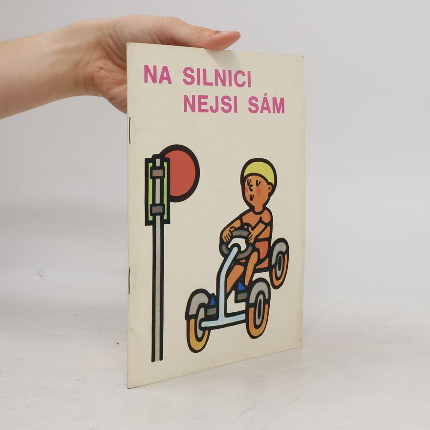 Kolektiv autorů Na silnici nejsi sám
