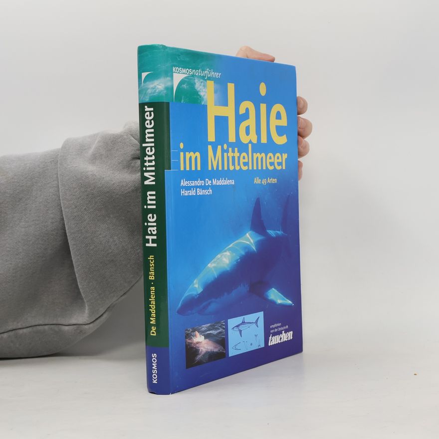 Harald Bänsch Haie im Mittelmeer