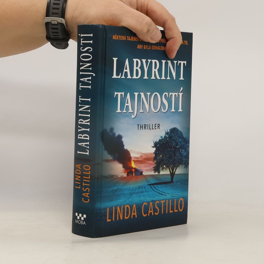 Linda Castillo Labyrint tajností