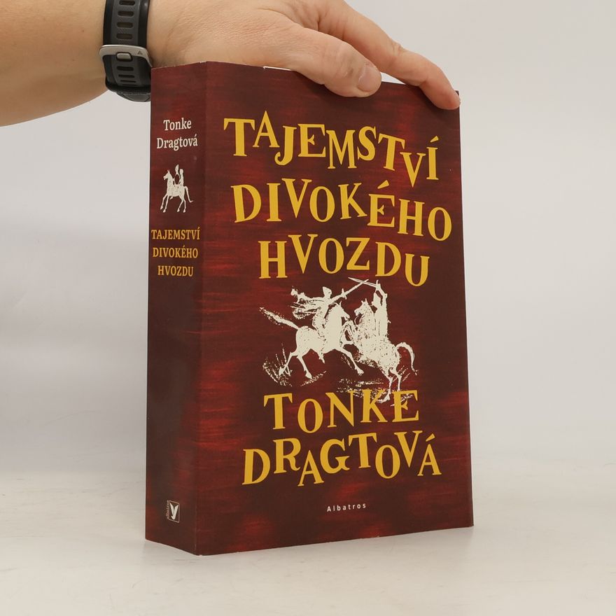 Tonke Dragt Tajemství Divokého hvozdu