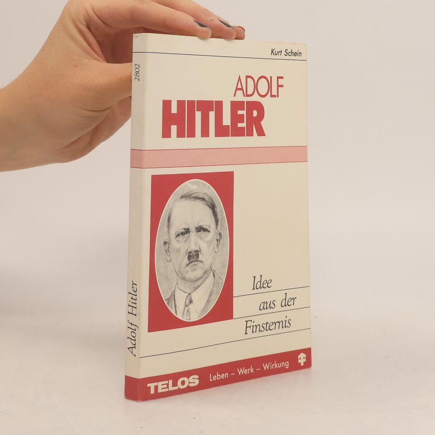 Kurt Schein Idee aus der Finsternis