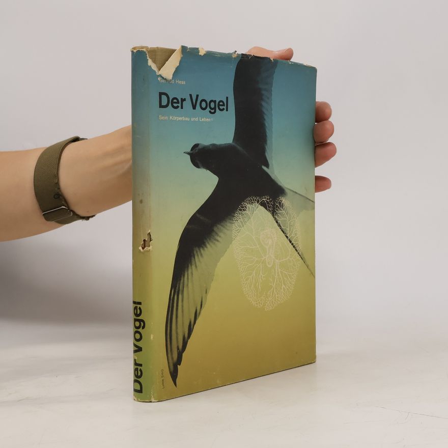 Gertrud Hess Der Vogel