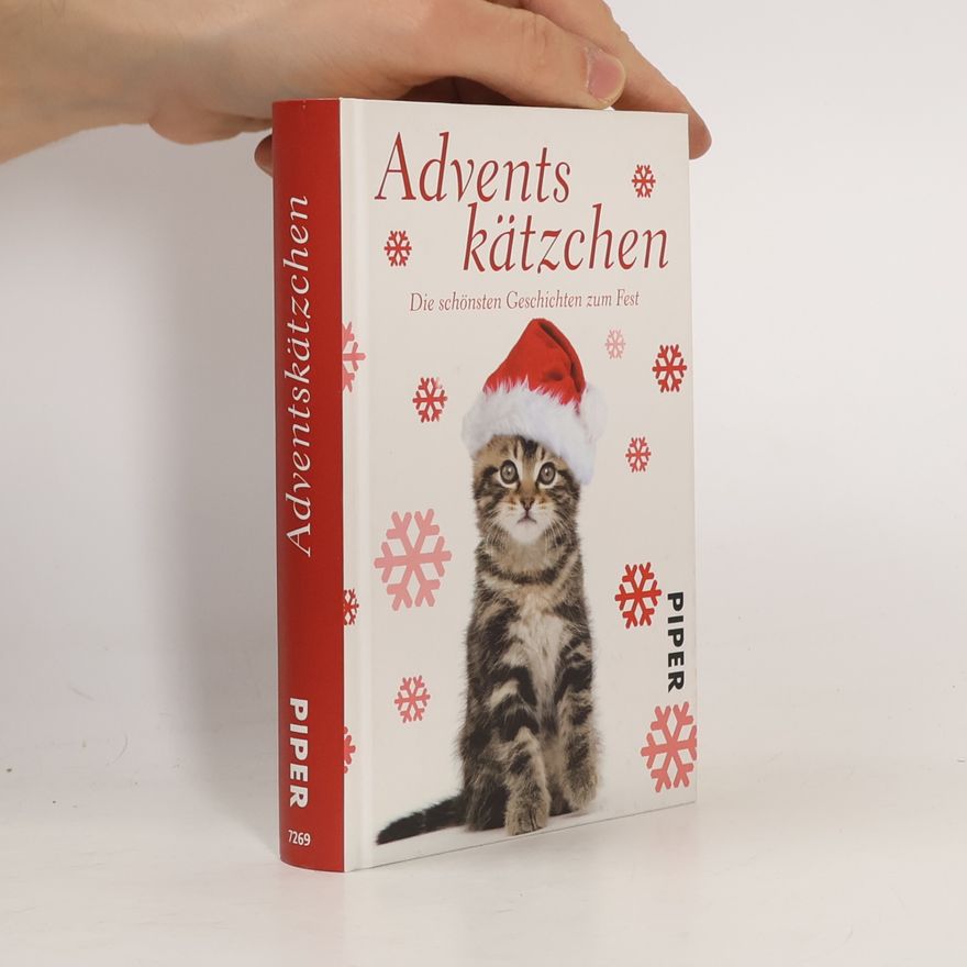 Jone Heer Adventskätzchen