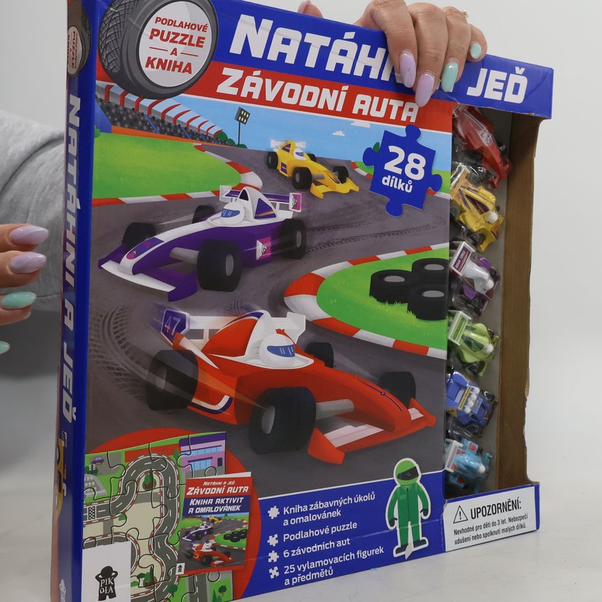 Kolektiv autorů Natáhni a jeď: Závodní auta