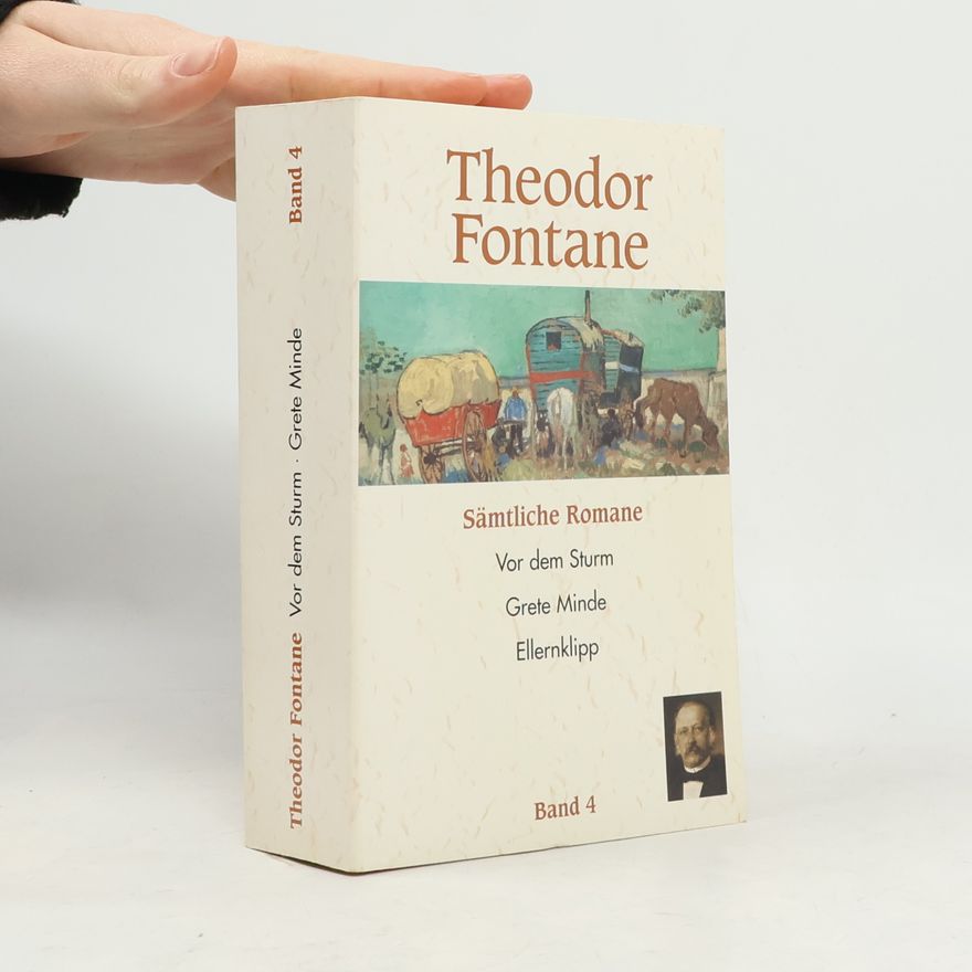 Theodor Fontane Sämtliche Romane 4