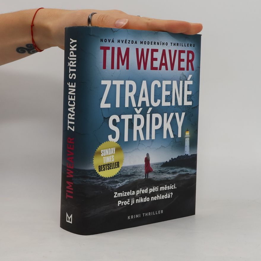 Tim Weaver Ztracené střípky