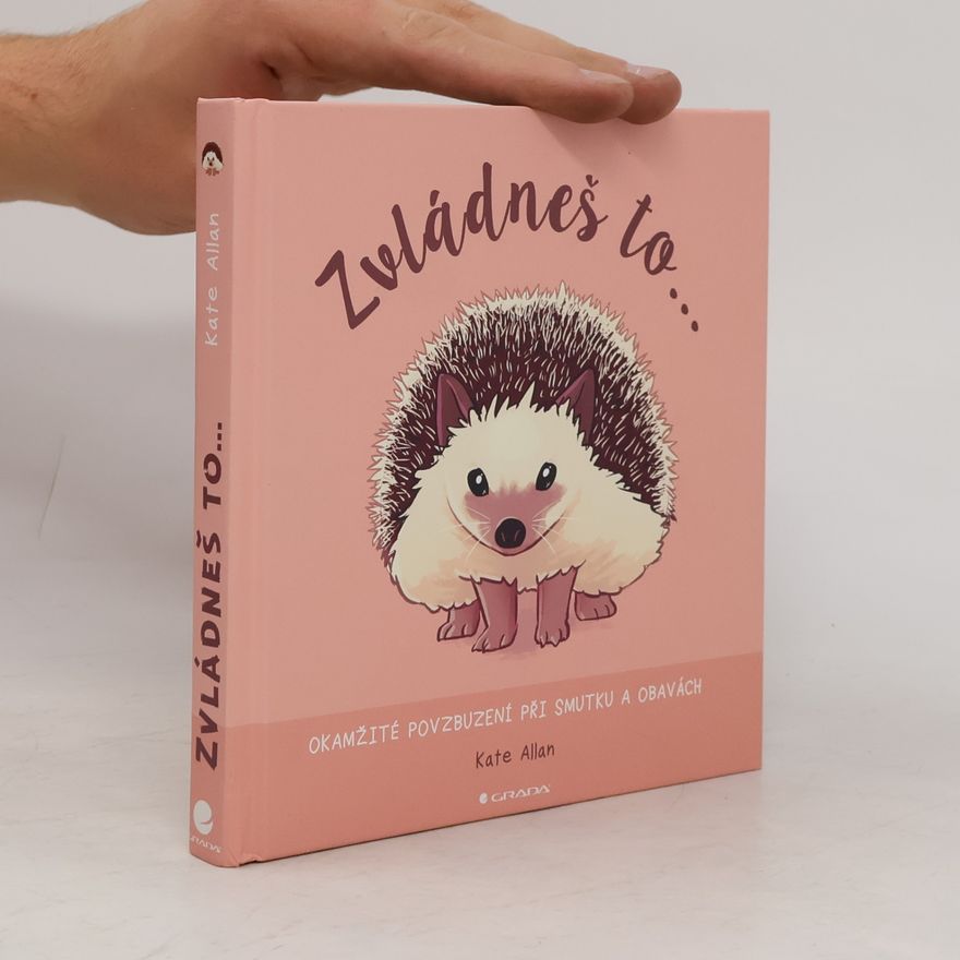 Kate Allan Zvládneš to... Okamžité povzbuzení při smutku a obavách