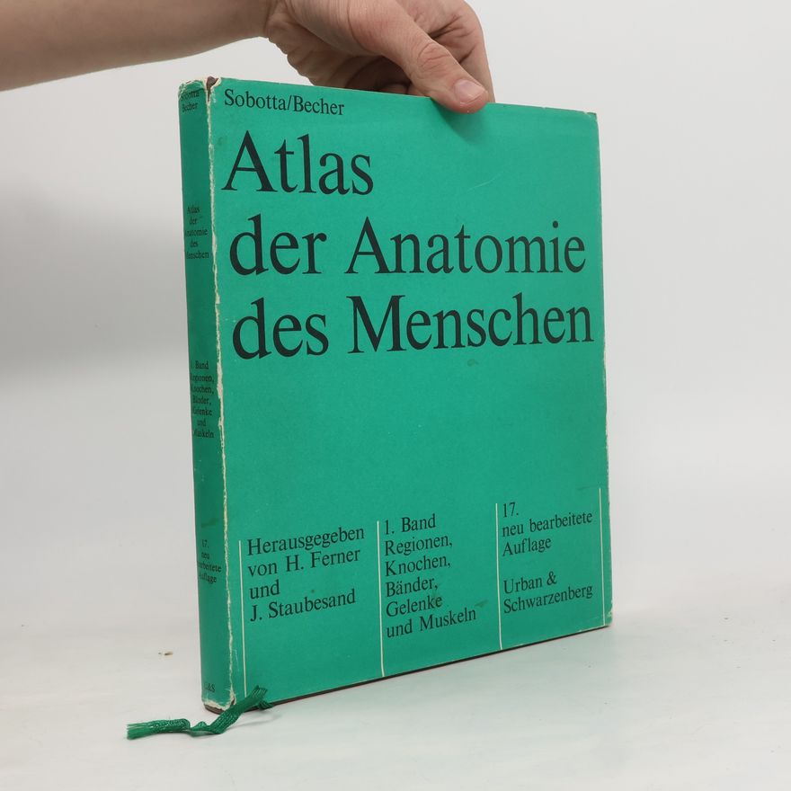 H. Becher Atlas der Anatomie des Menschen