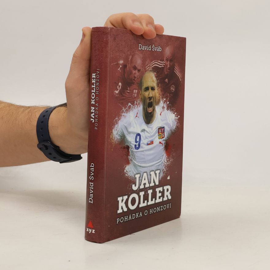 David Šváb Jan Koller : pohádka o Honzovi