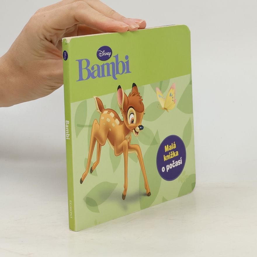 Kolektív autorov Bambi. Malá knižka o počasí