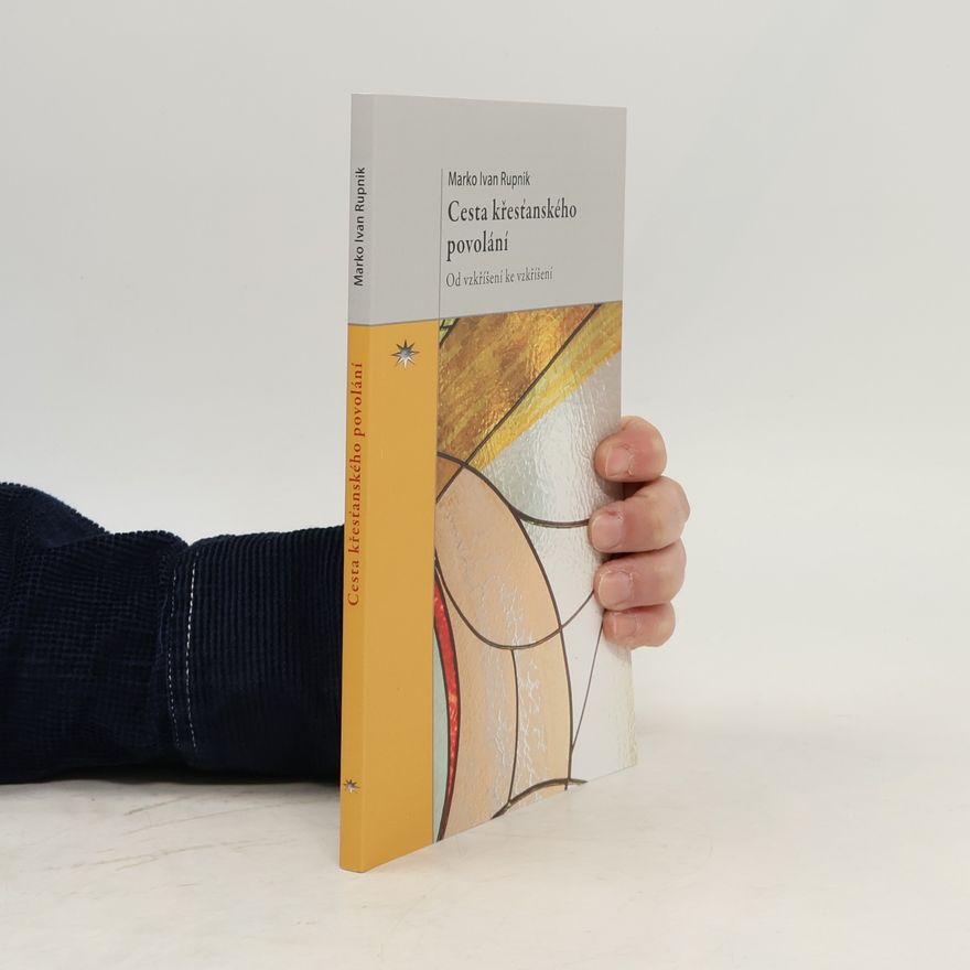 Robert Svatoň Cesta křesťanského povolání : od vzkříšení ke vzkříšení