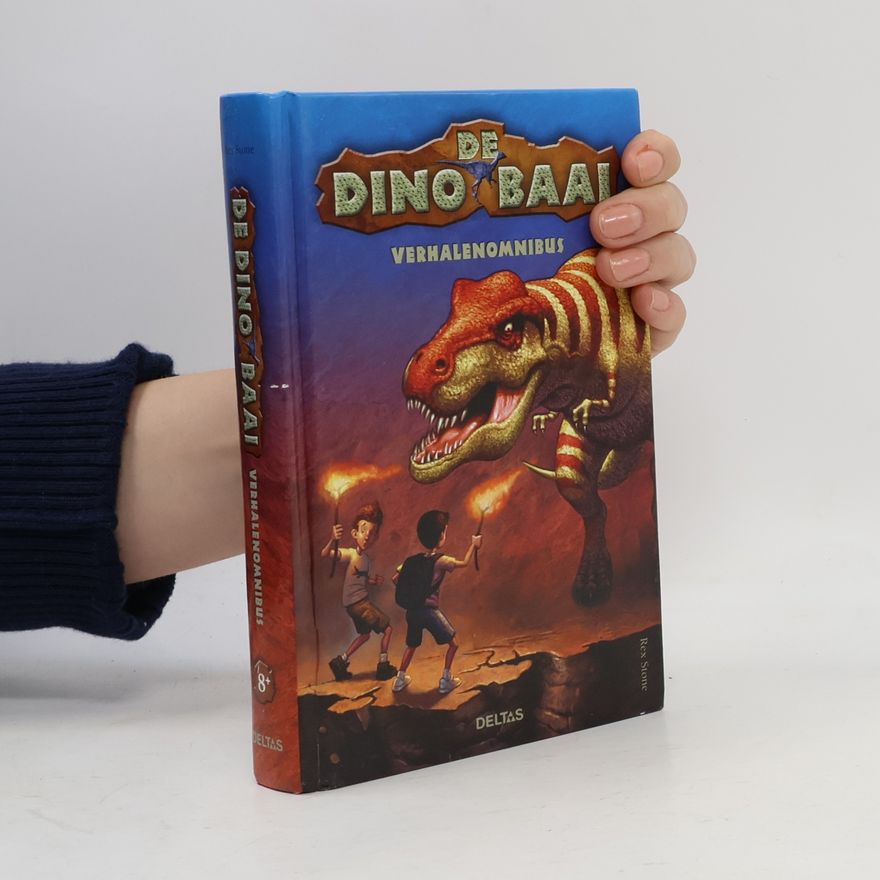 Rex Stone De Dino Baai