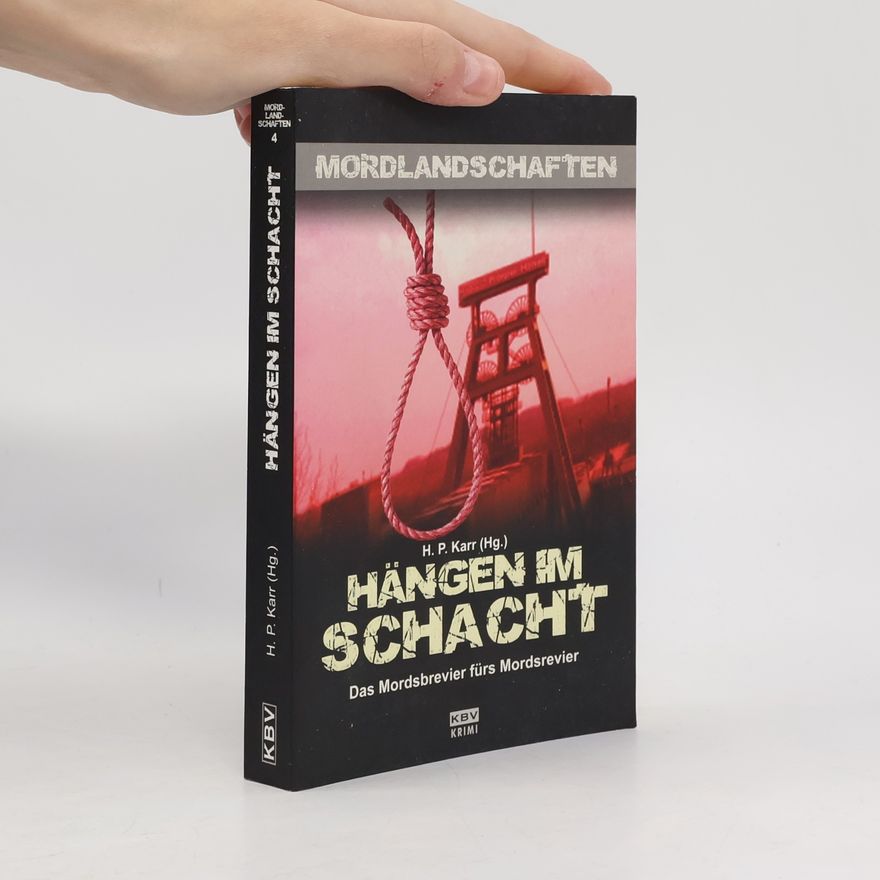 Hanns-Peter Karr Hängen im Schacht