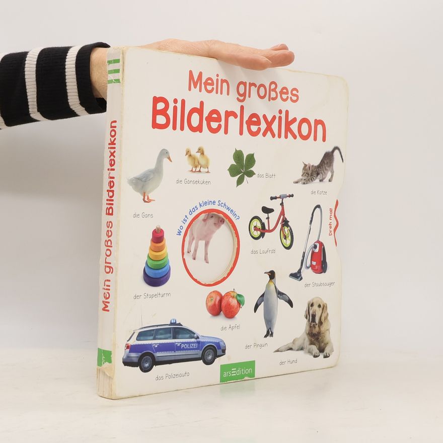 Collectif d'auteurs Mein großes Bilderlexikon