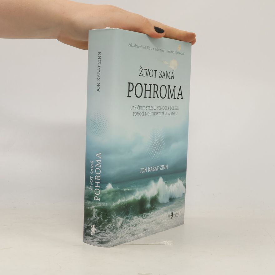 Jon Kabat-Zinn Život samá pohroma