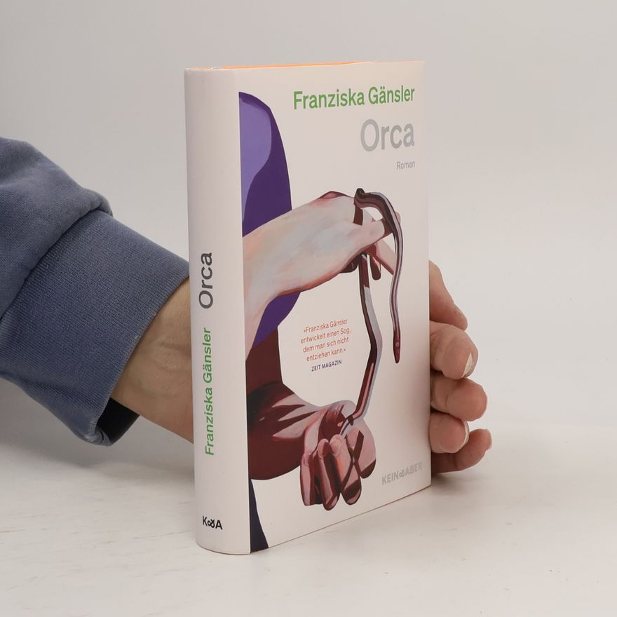 Franziska Gänsler Orca: Roman