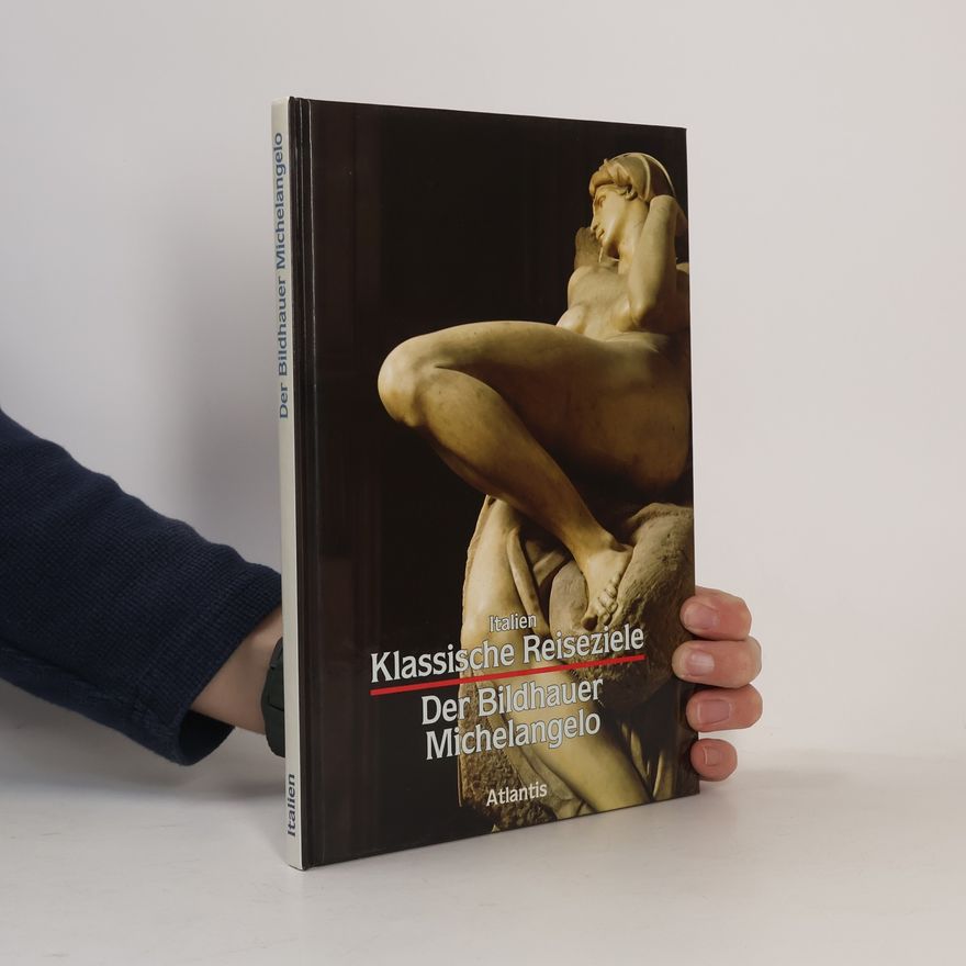Michelangelo Der Bildhauer Michelangelo