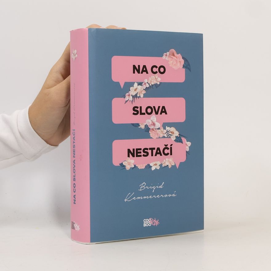 Brigid Kemmerer Na co slova nestačí