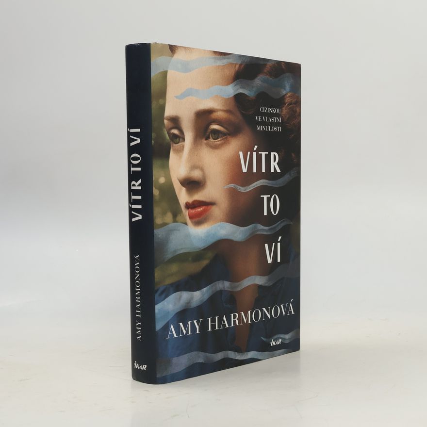 Amy Harmon Vítr to ví