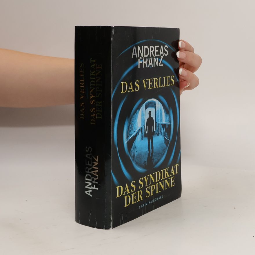 Andreas Franz Das Verlies. Das Syndikat der Spinne