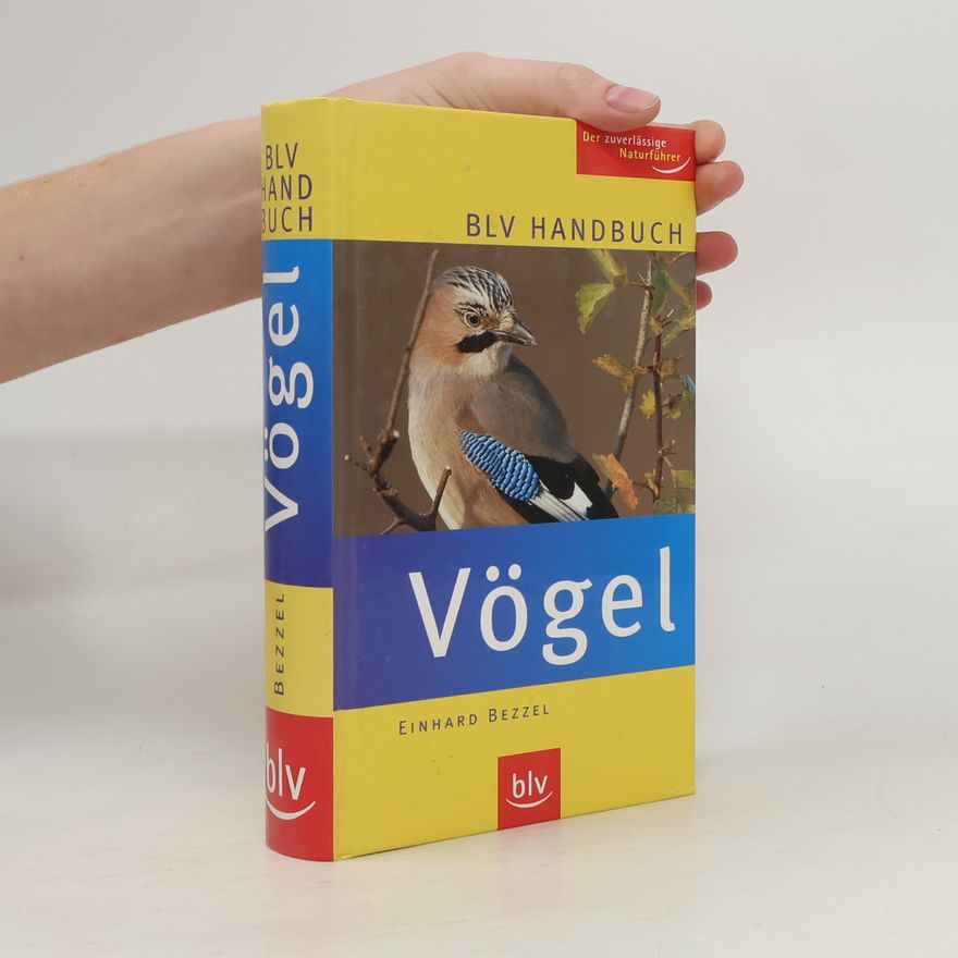 Einhard Bezzel BLV-Handbuch Vögel