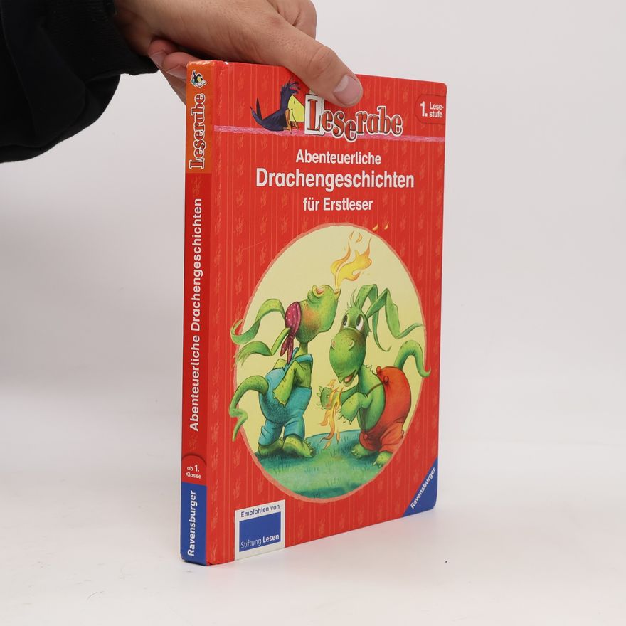 Inge Meyer-Dietrich Abenteruerliche Drachengeschichten für Erstleser