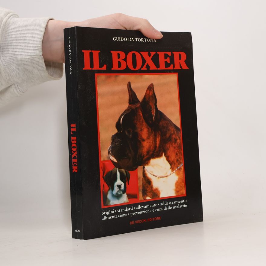 Guido Da Tortona Il boxer