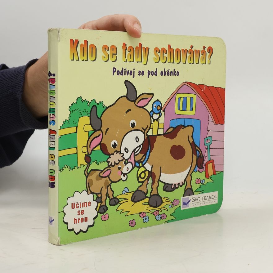 s.r.o Svojtka § Co. Kdo se tady schovává?