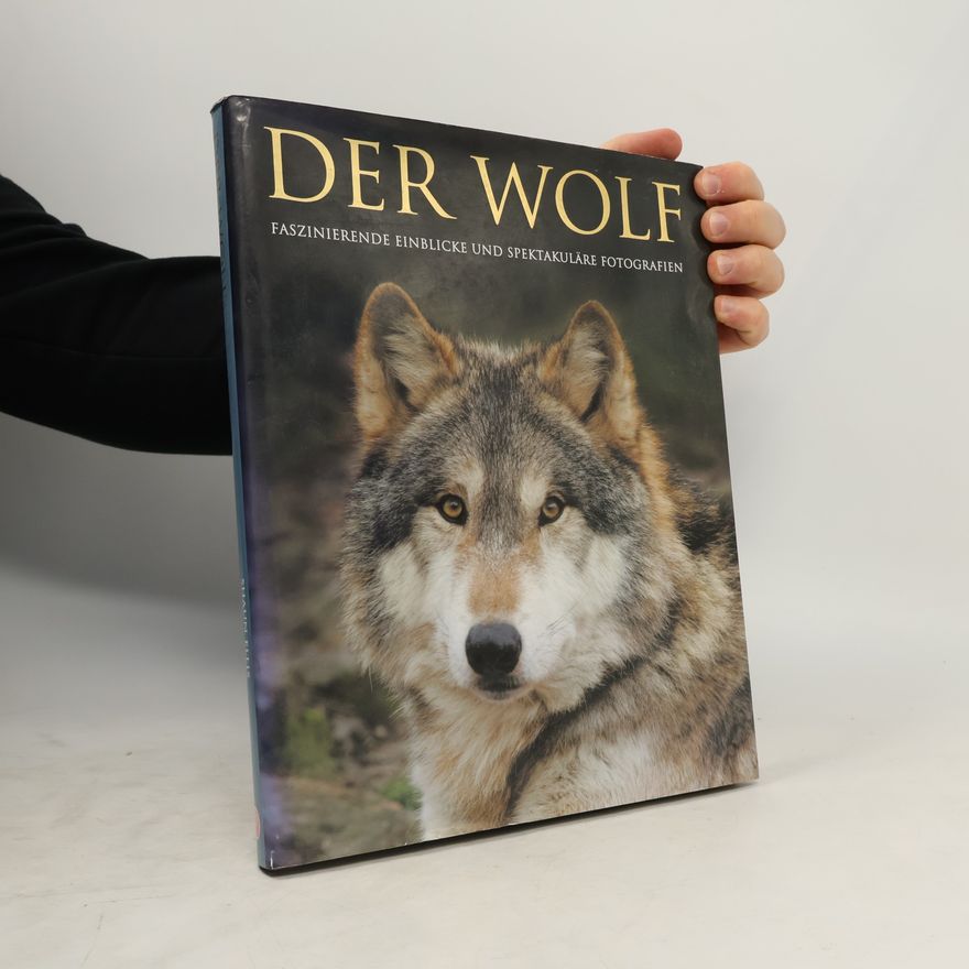 Shaun Ellis Der Wolf