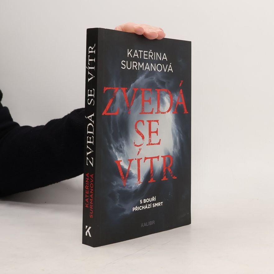 Kateřina Surmanová Zvedá se vítr