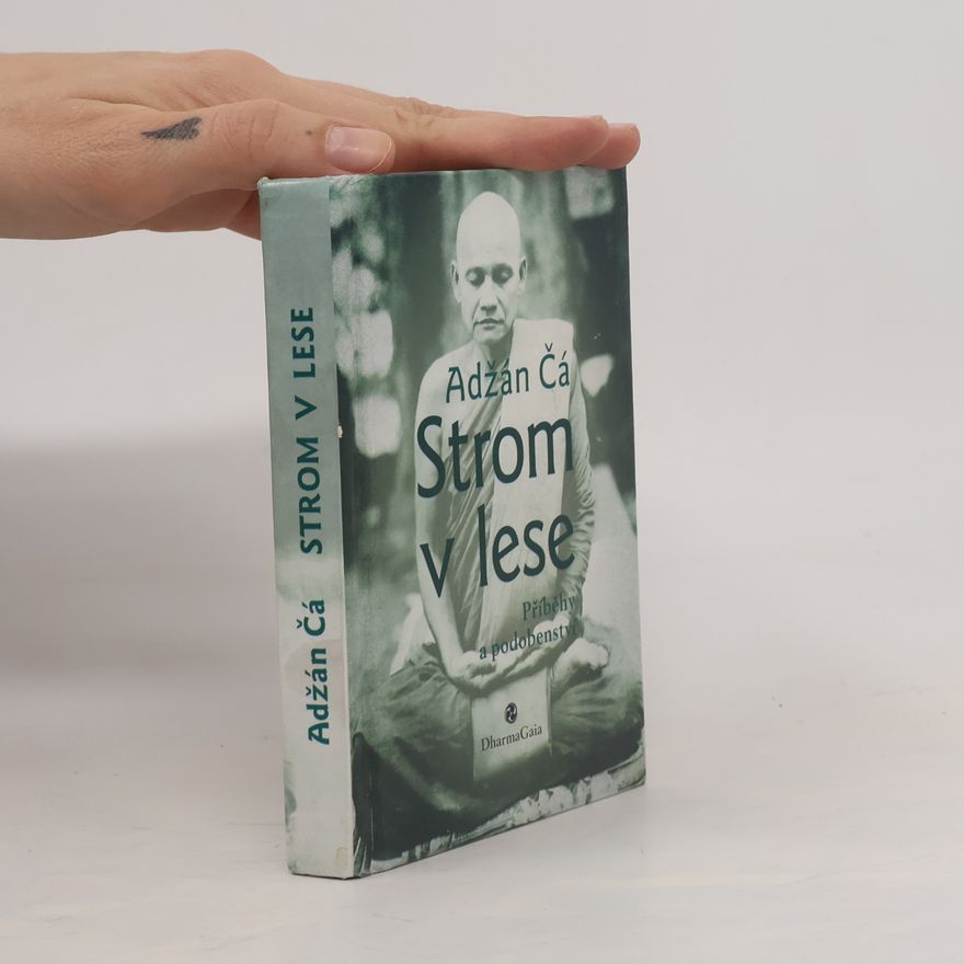 Čá Strom v lese : příběhy a podobenství