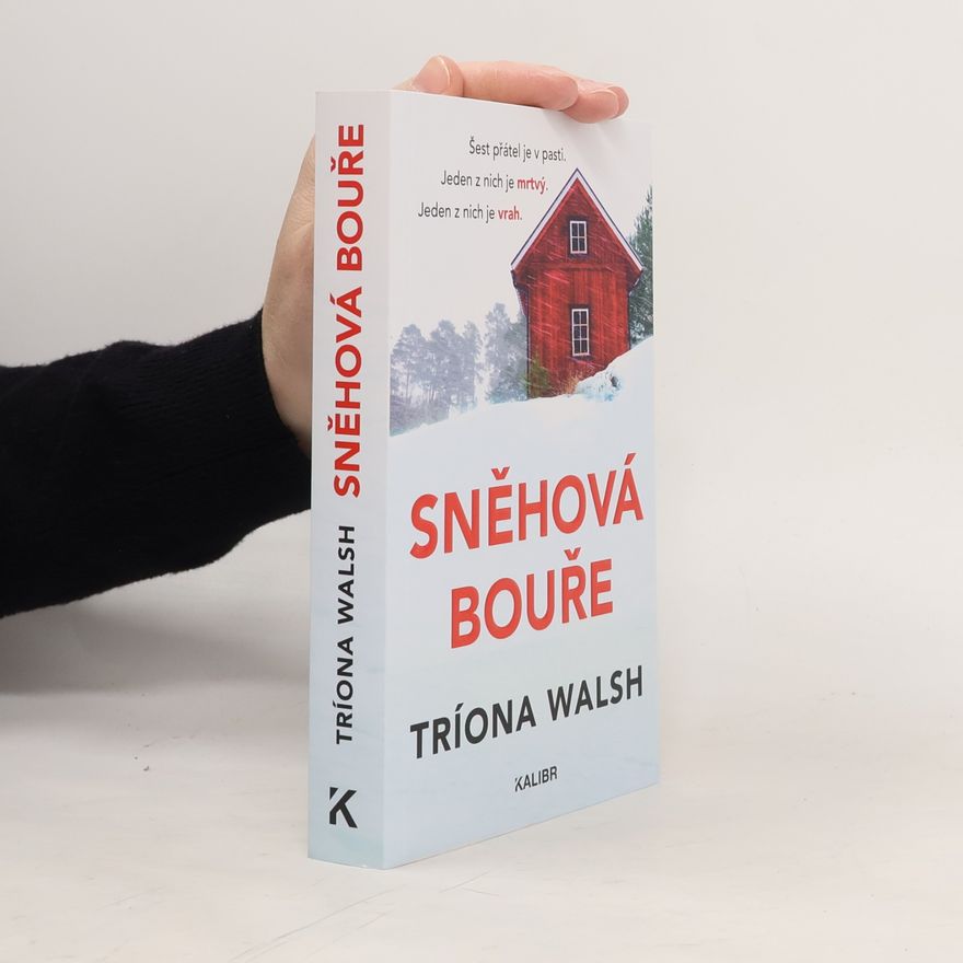 Tríona Walsh Sněhová bouře