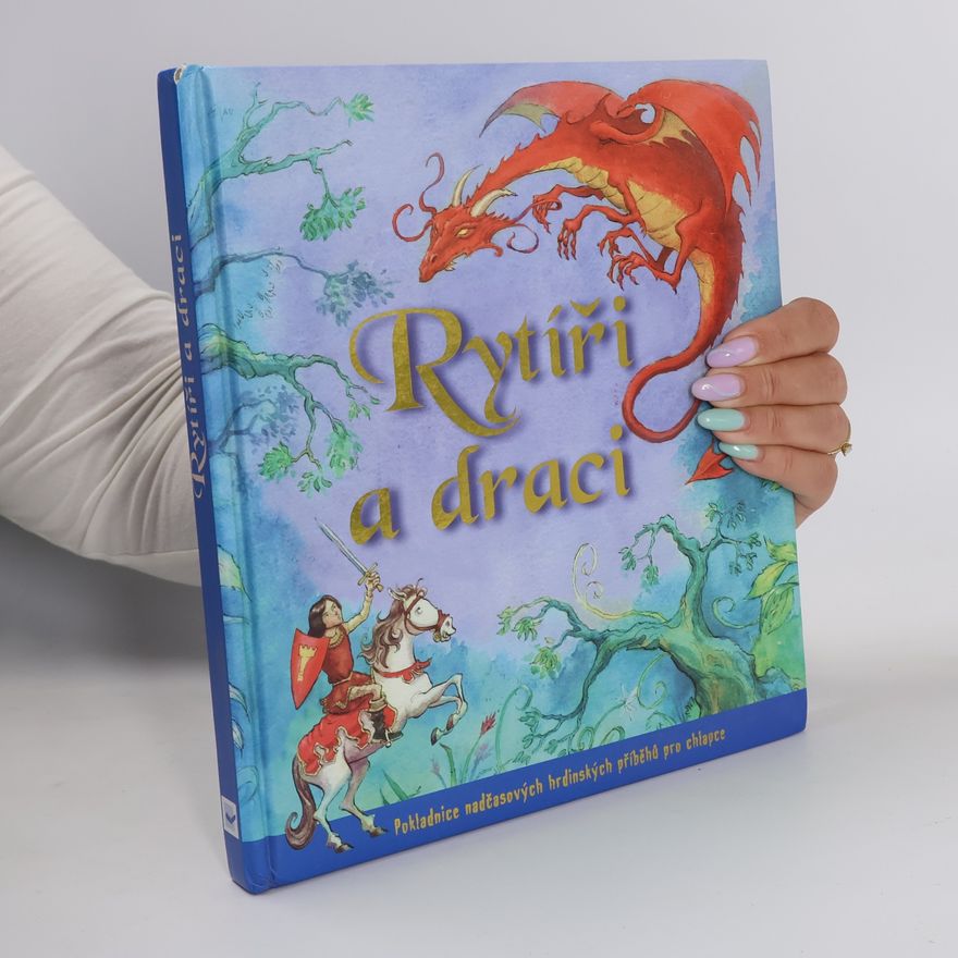 Autores varios Rytíři a draci