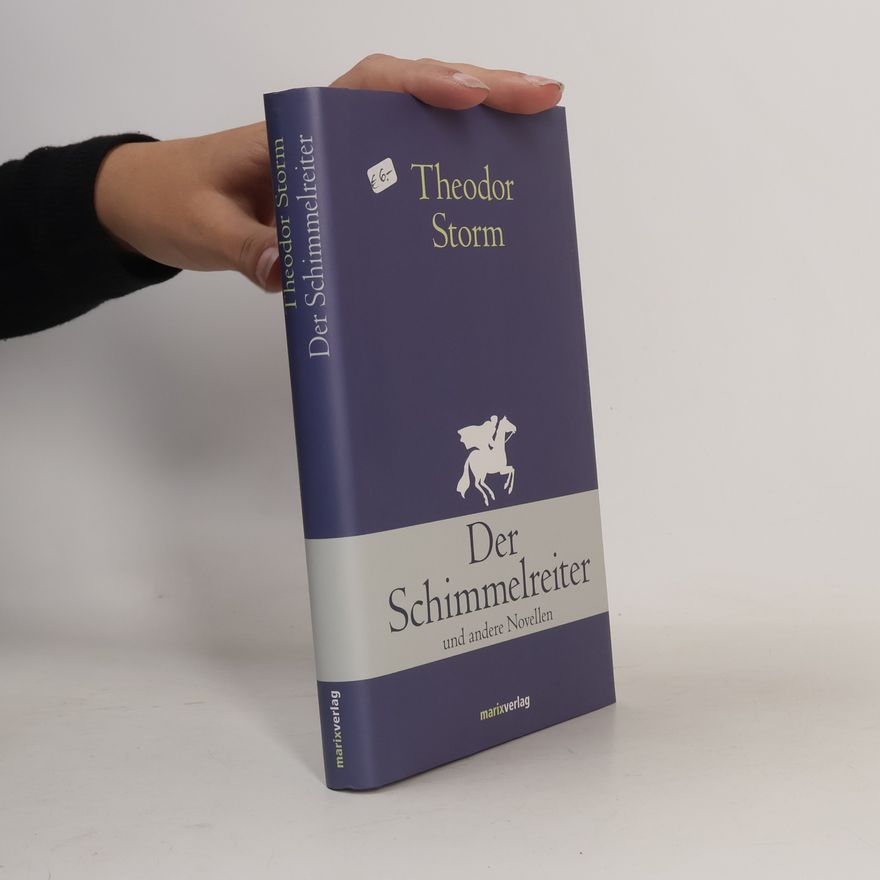 Theodor Storm Der Schimmelreiter