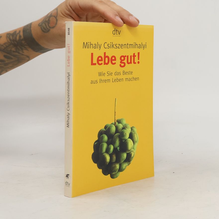 Mihaly Csikszentmihalyi Lebe gut!
